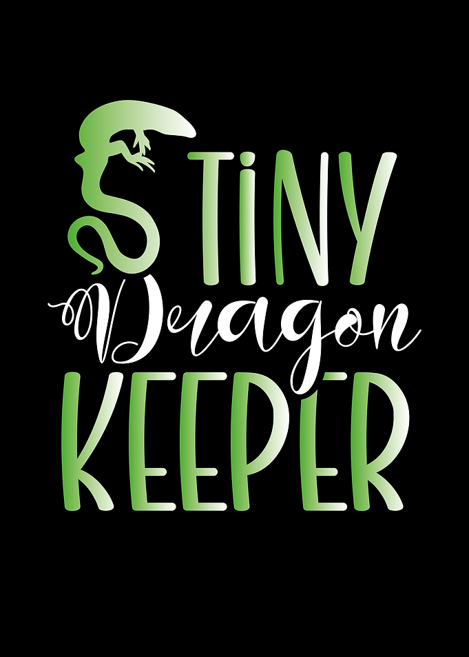 Tiny dragon keeper