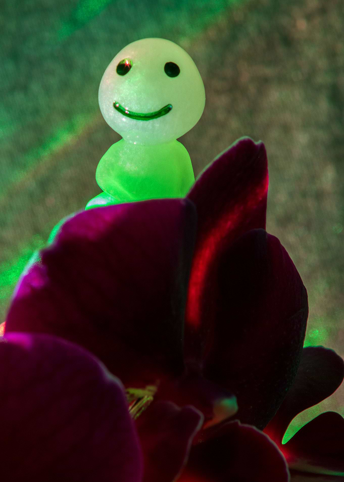 Orchid Spirit