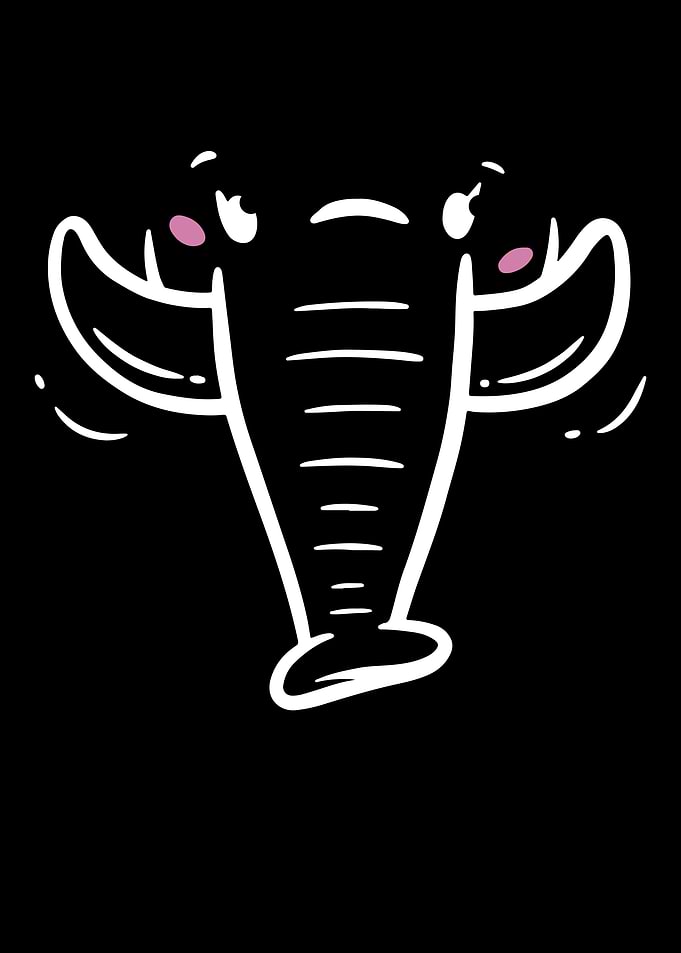 Elephant Whisperer