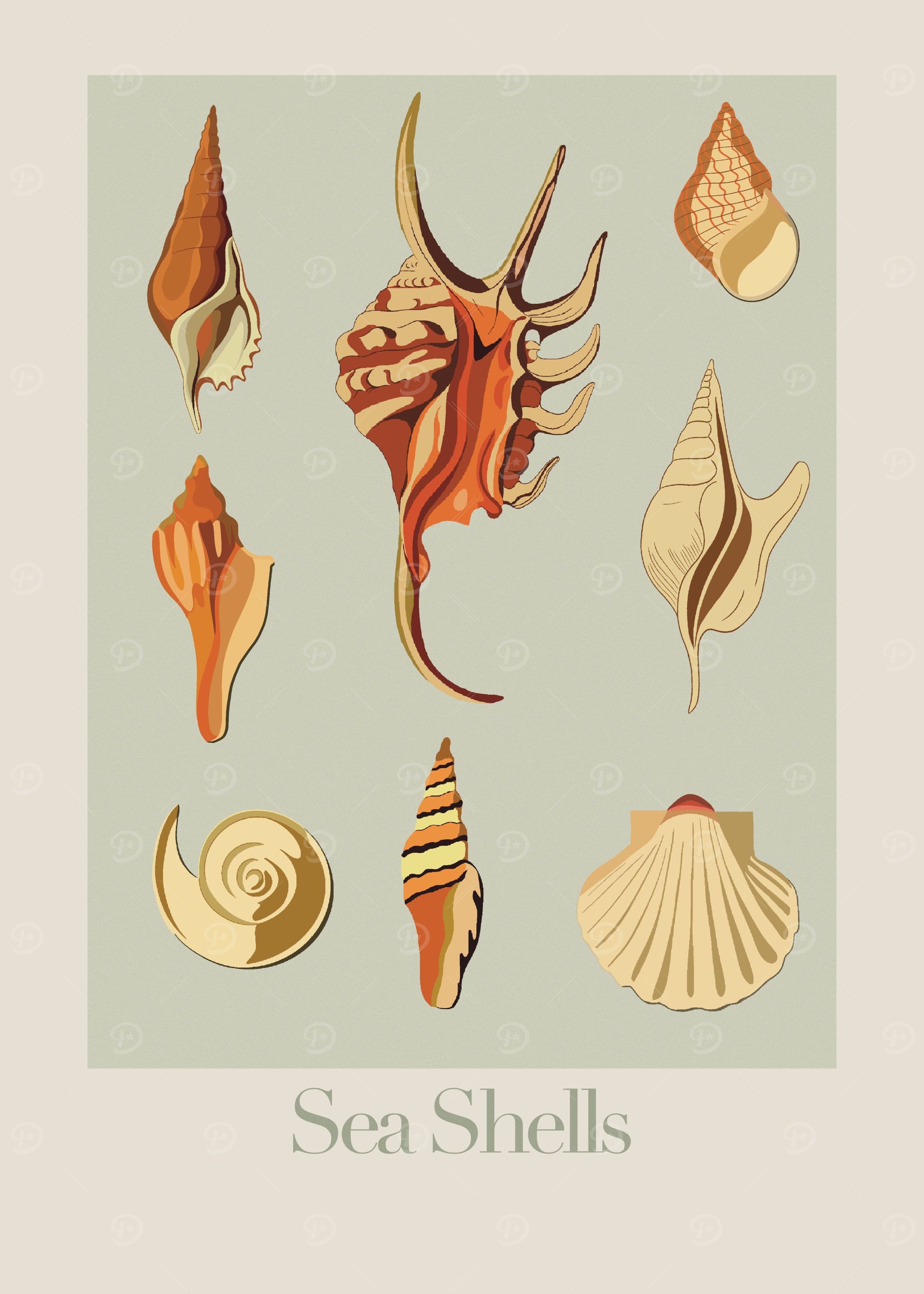 Retro Sea Shells