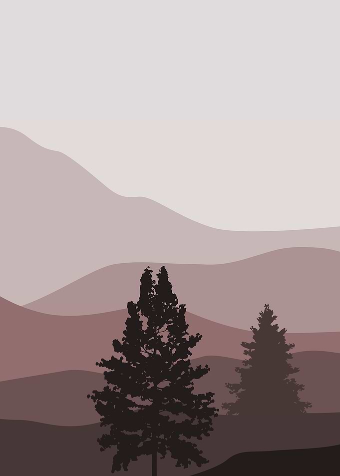 Beautiful mountain forest