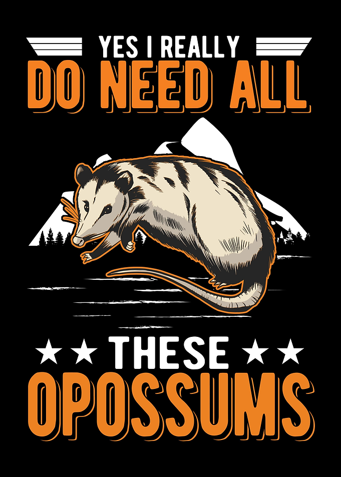 Opossum Gift Possum