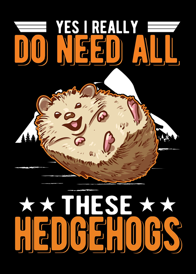 Hedgehog Keeper Gift
