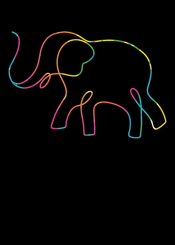 Elephant Whisperer