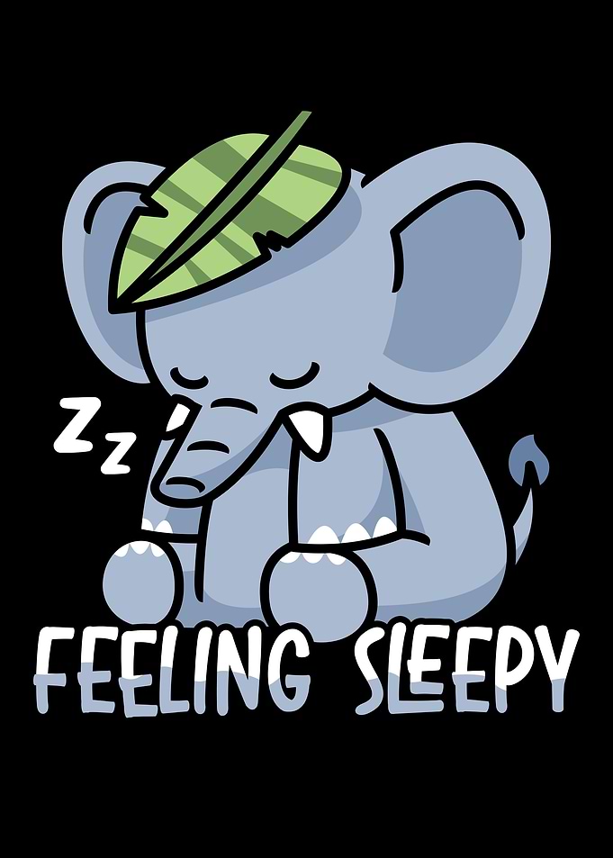Feeling Sleepy Elephant