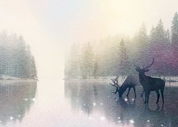 Misty Frozen River