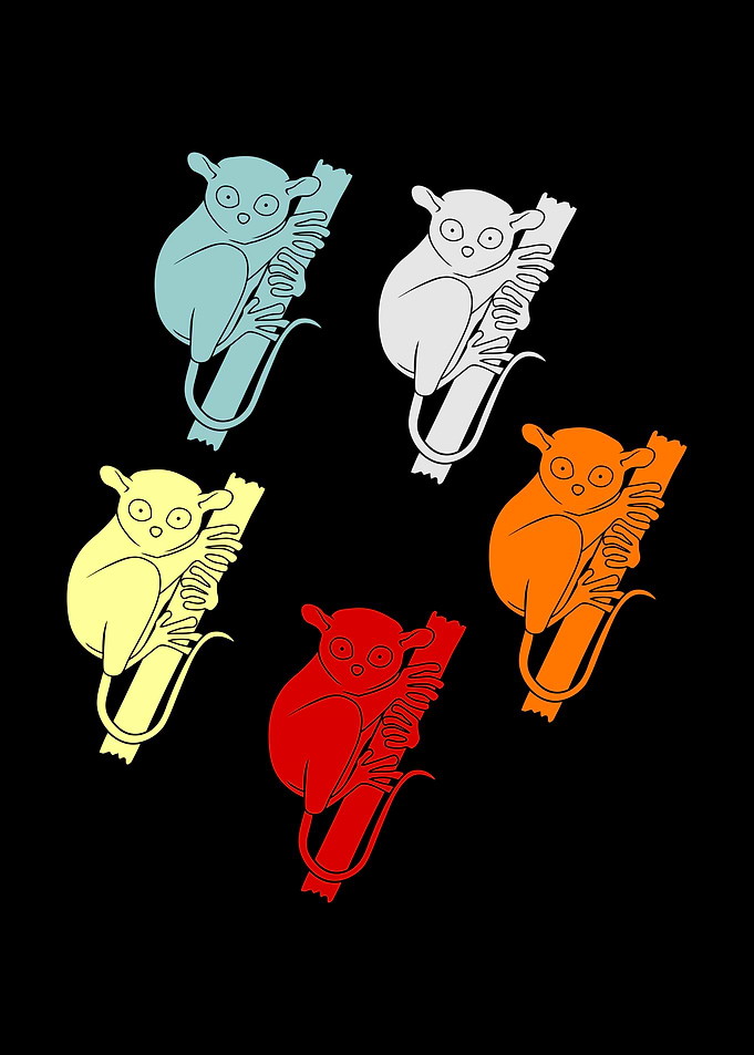 Cute Tarsier Lovers Gift