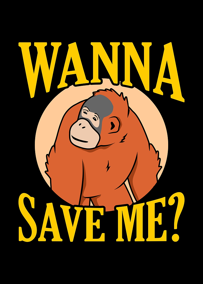 Distracted By Orangutans