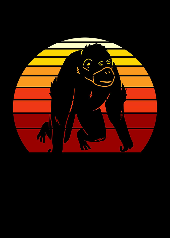 Distracted By Orangutans