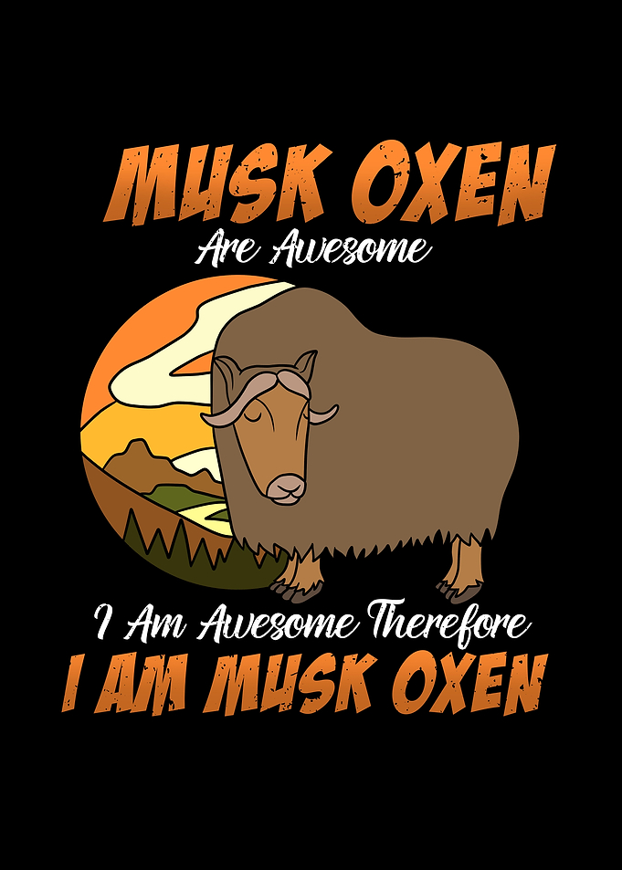 Awesome Musk Oxen Wild