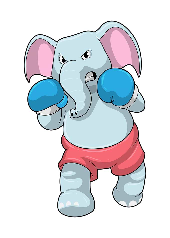 Elephant Boxer Sports