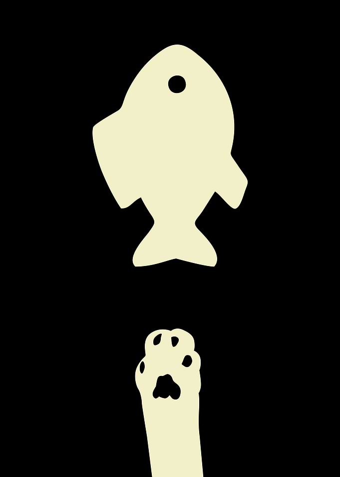 Cat Catching Fish