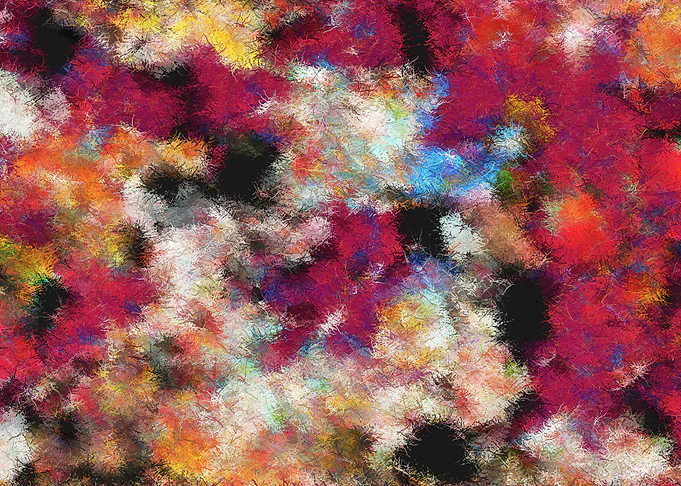 Reef and Rust