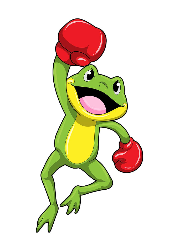 Frog Boxer Boxing gloves