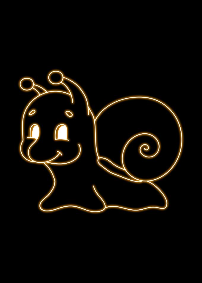 snail Animal