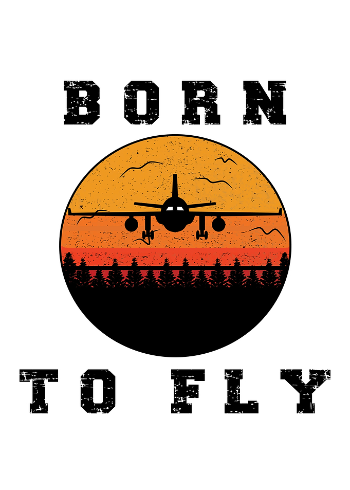 Born To Fly Airplane Lover