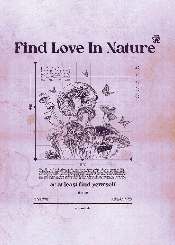 Find Love
