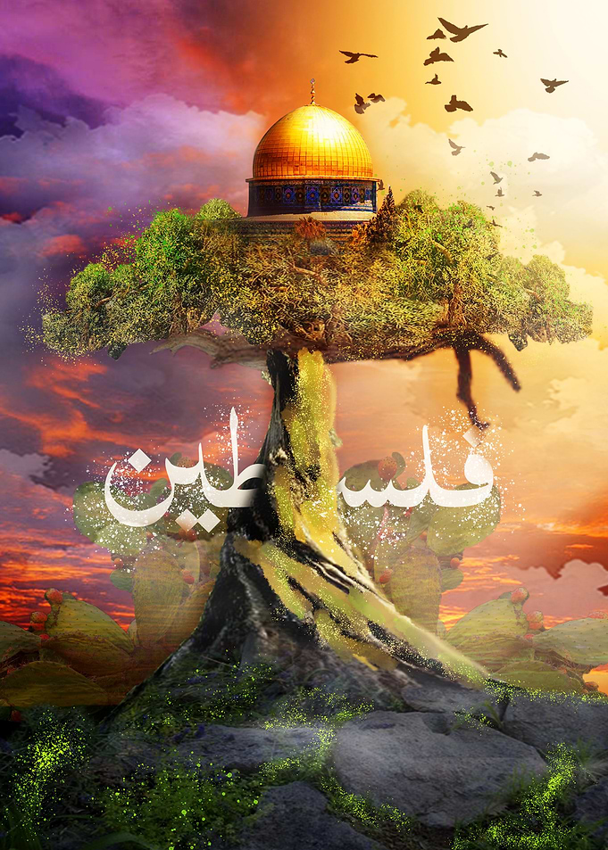 Palestinian olive tree