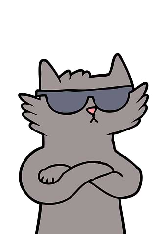 Cool Cat Sunglasses