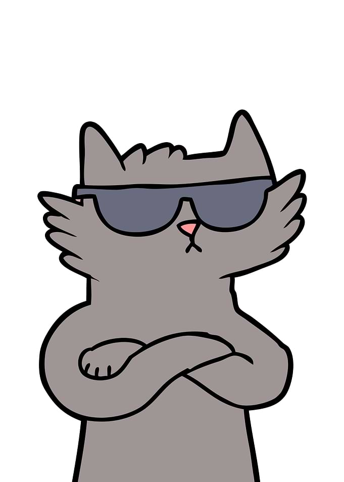 Cool Cat Sunglasses