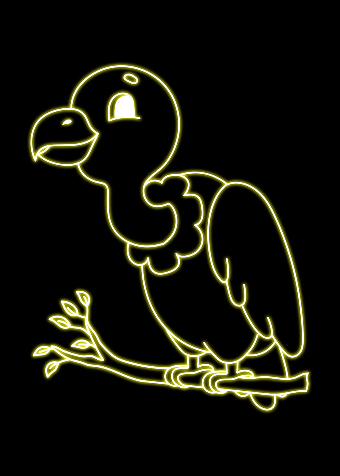 vulture Animal