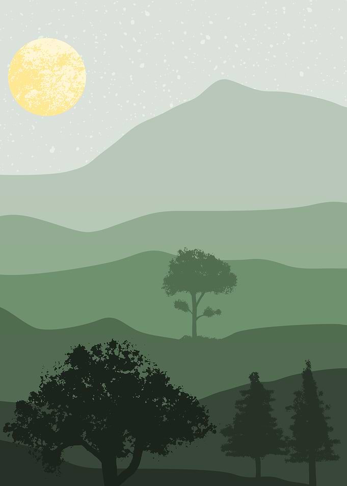 Green forest mountain sun