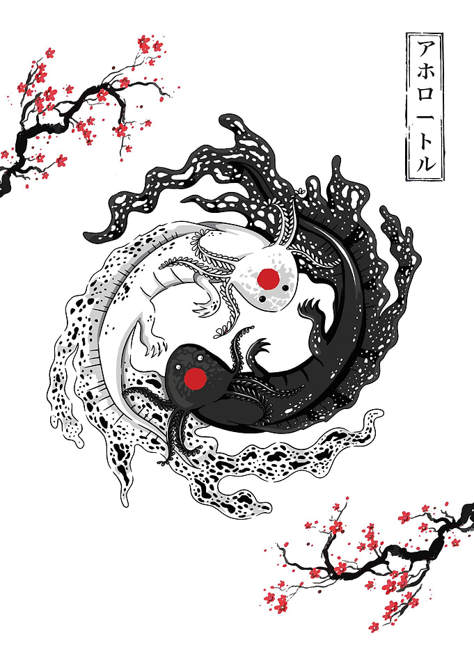 yin yang Axolotl couple