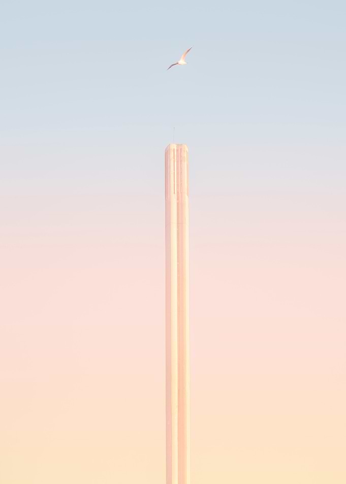 Bird Tower