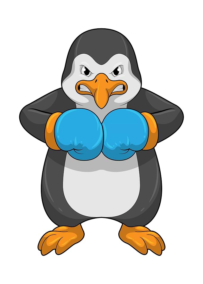 Penguin Boxer Sports