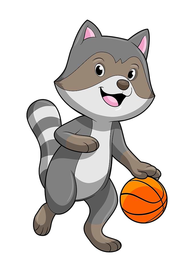 Racoon Basketball Sports