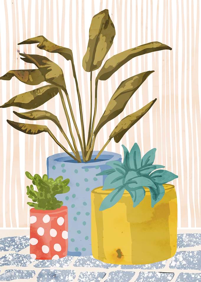 Little Garden v2