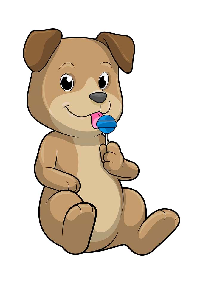 Dog Sweets Lollipop