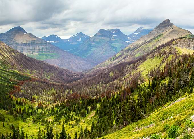 Mountains in Forest Nature