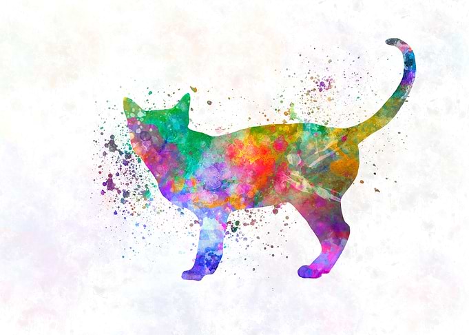 Singapura cat watercolor