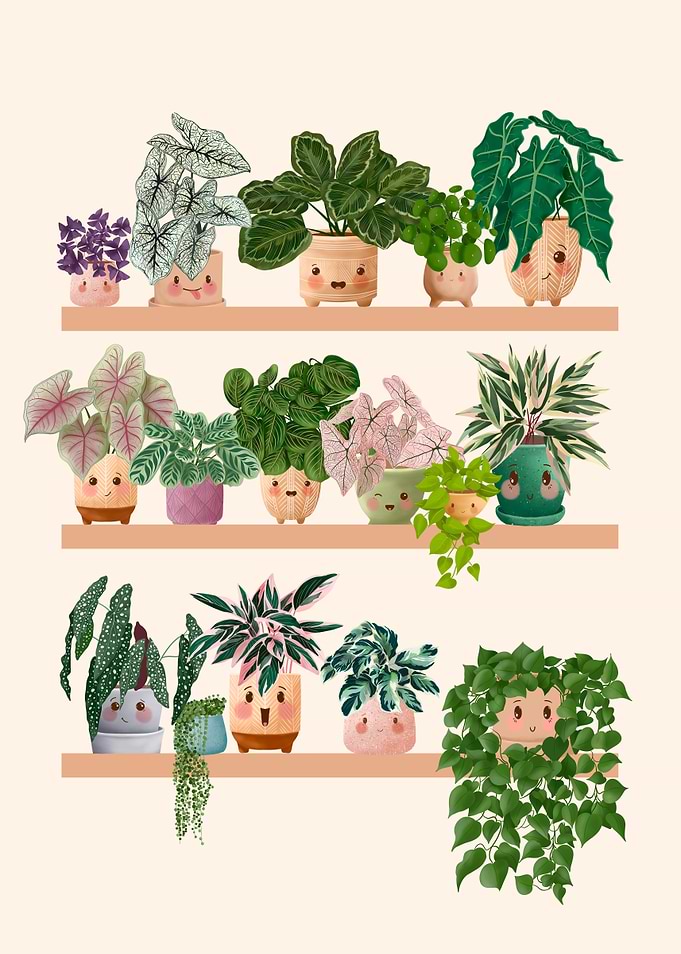 Cute Plants On A Shelf