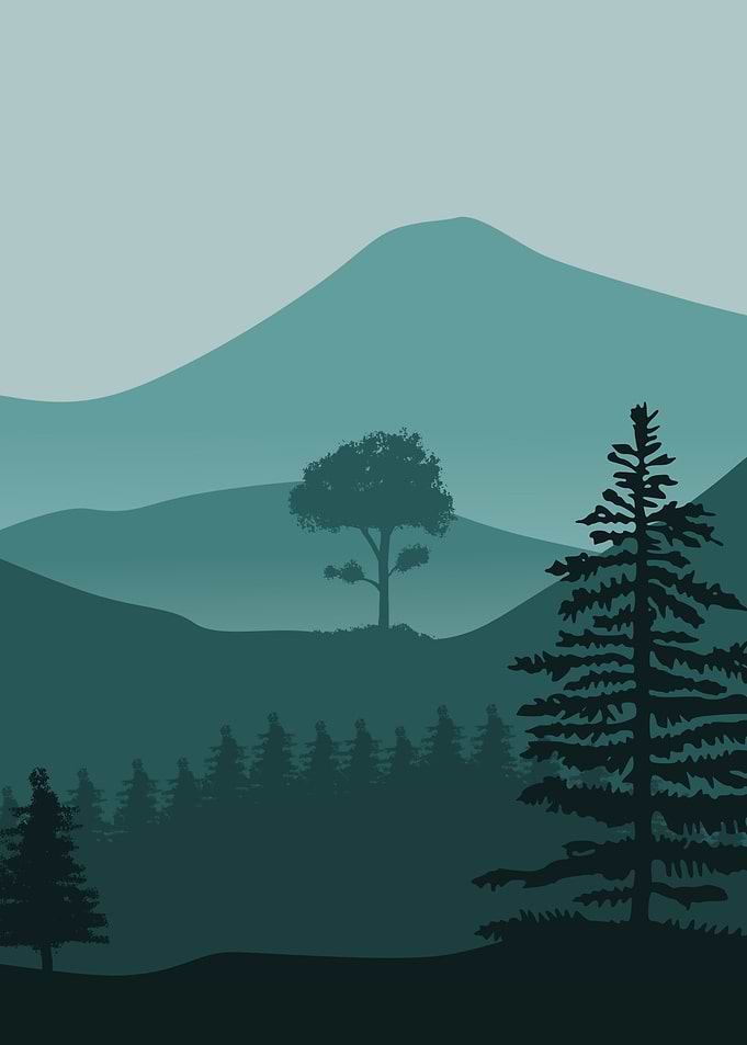 Blue mountain forest tree