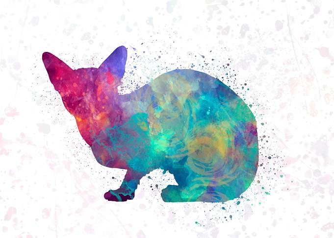 sphinx cat watercolor