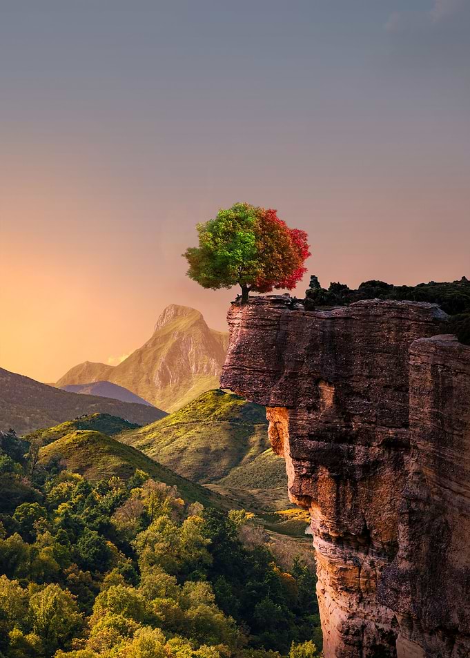 Colourful Tree