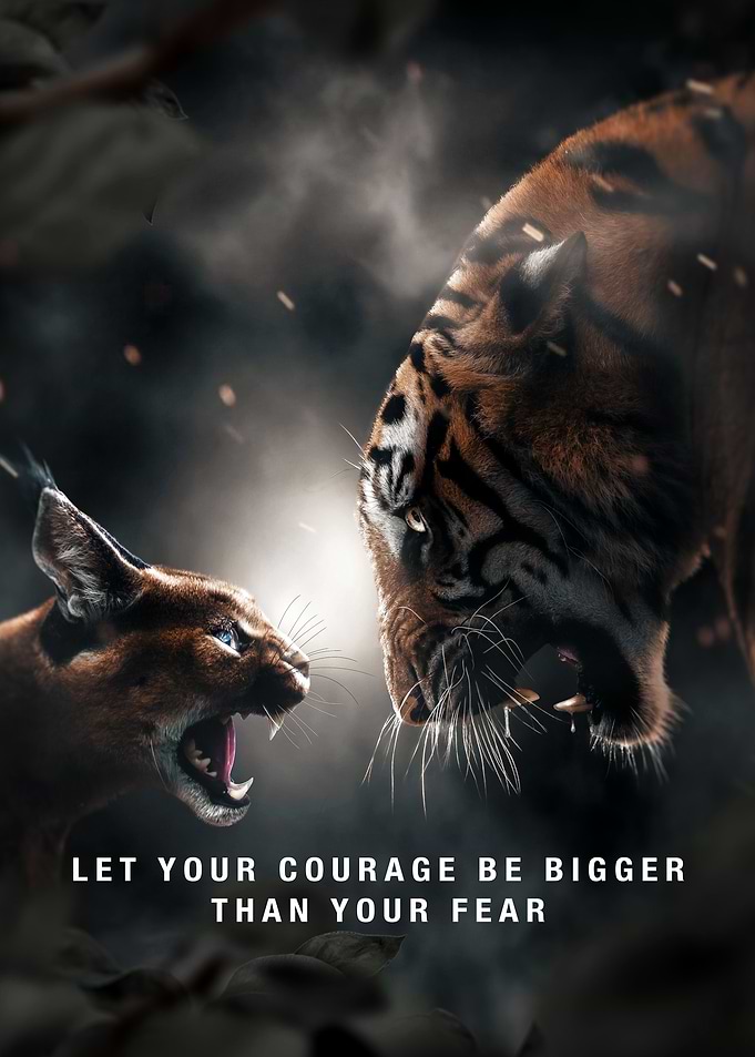 Courage Bigger Than Fear