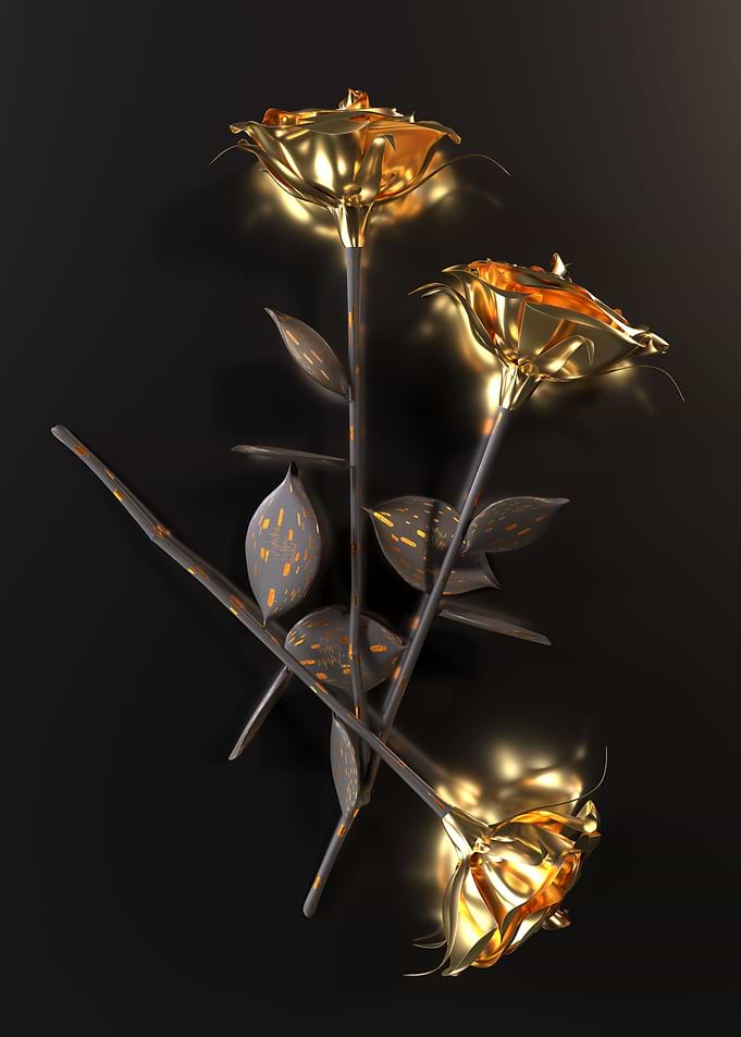 Burning roses