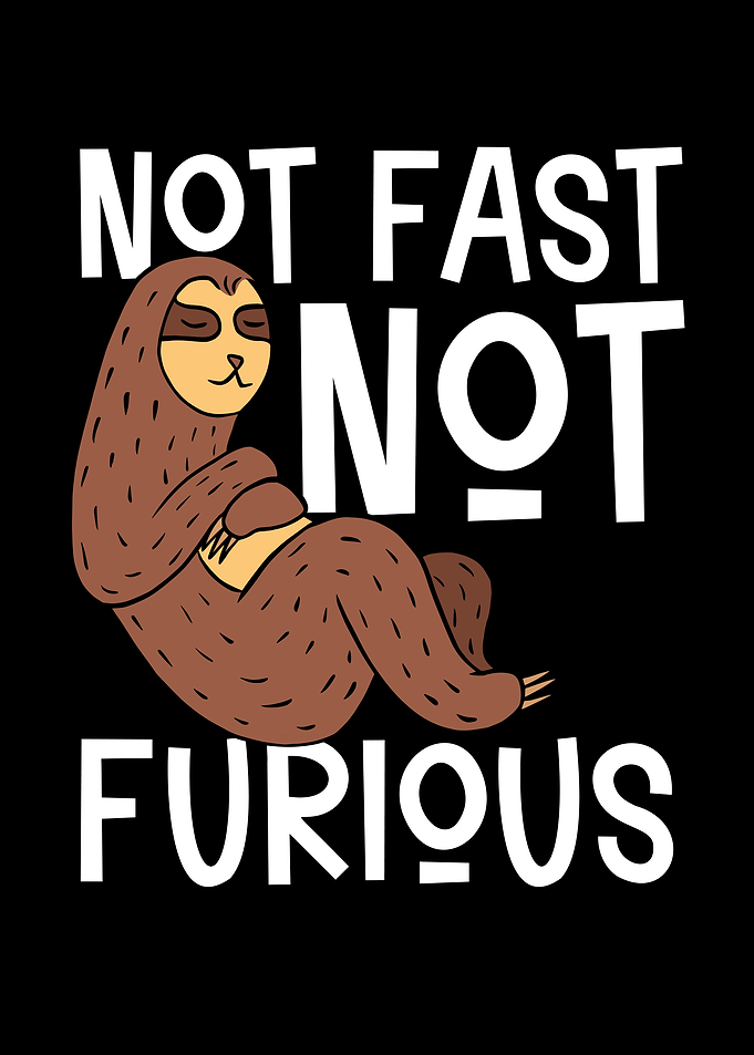 Not fast not furious