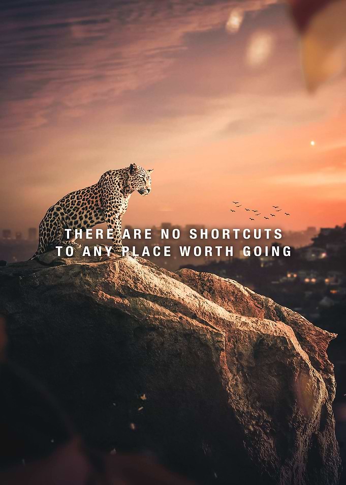 No Shortcuts
