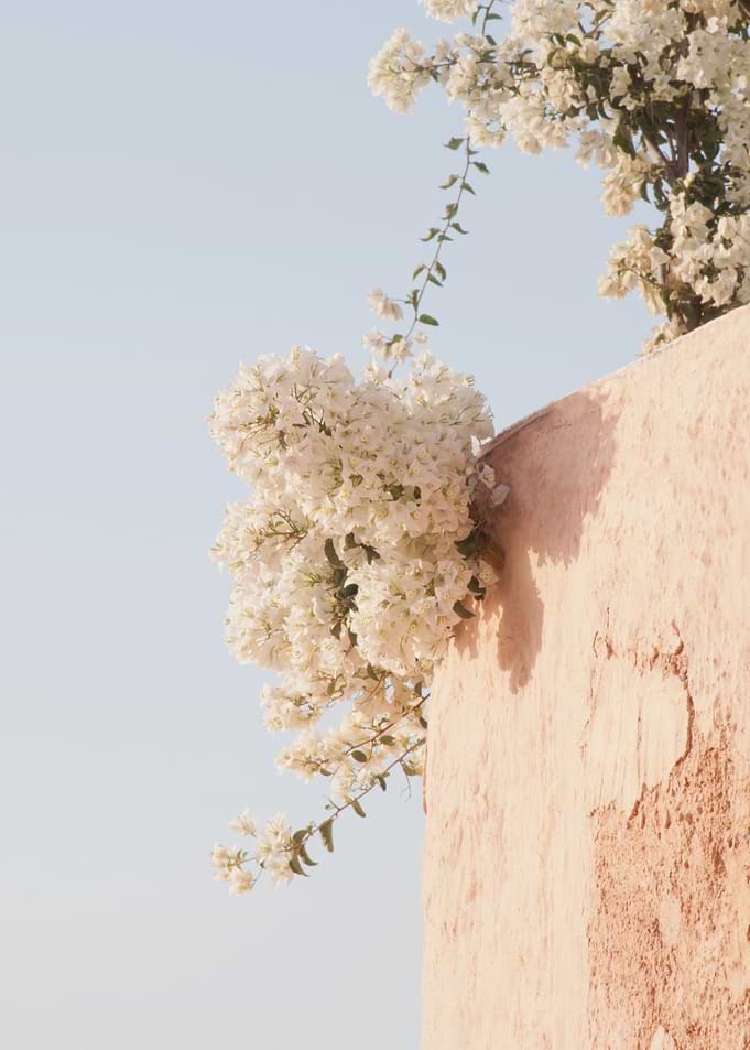 Santorini Oia Beauty 4