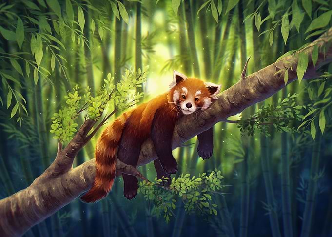 Red Panda