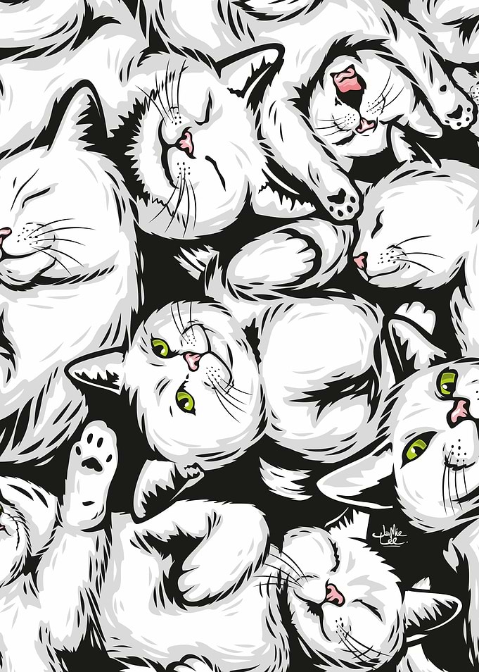 White Cats