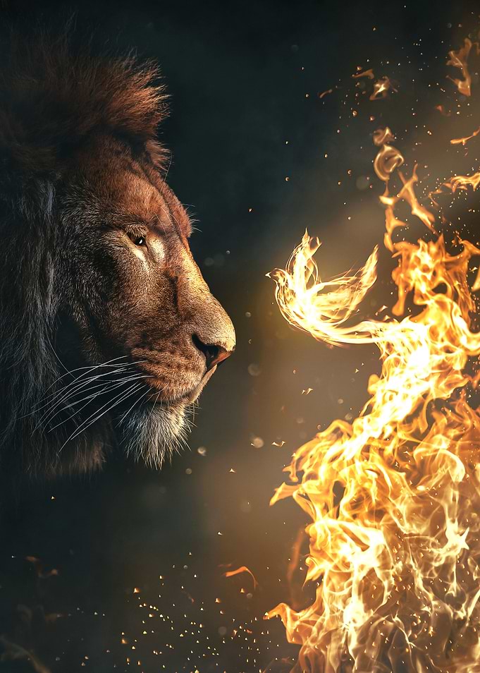 The Fire Inside