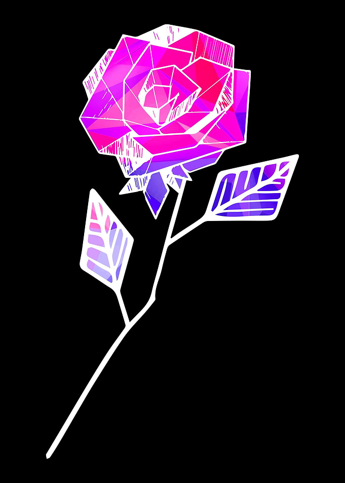 Rose Garden Roses