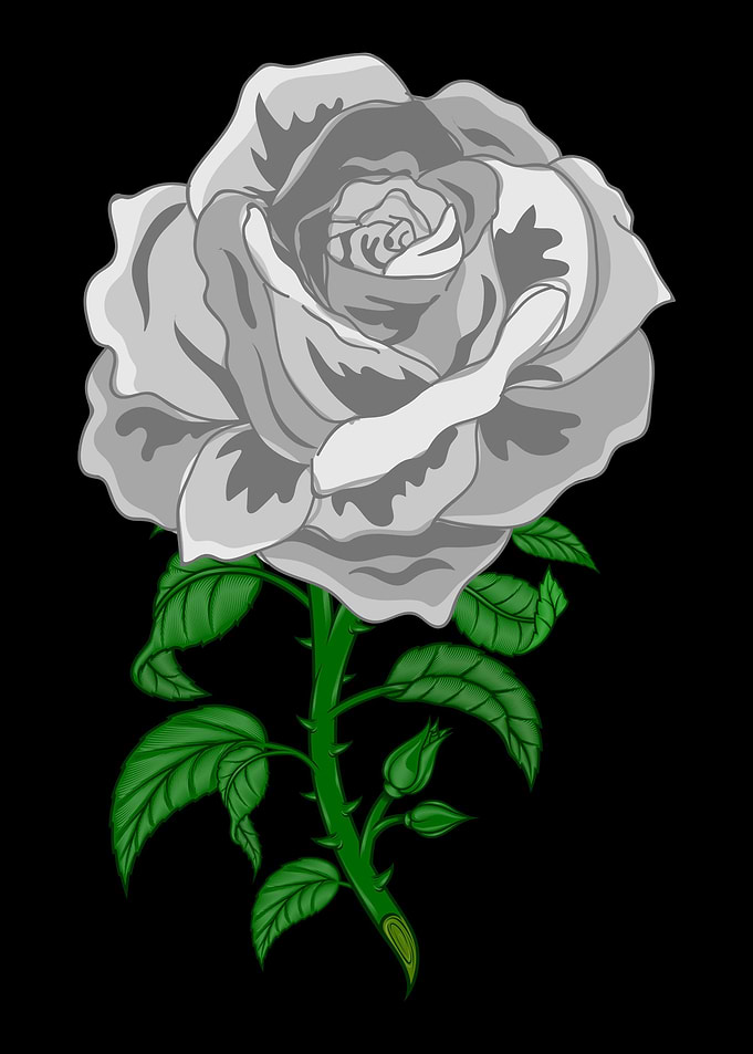 Rose Garden Roses
