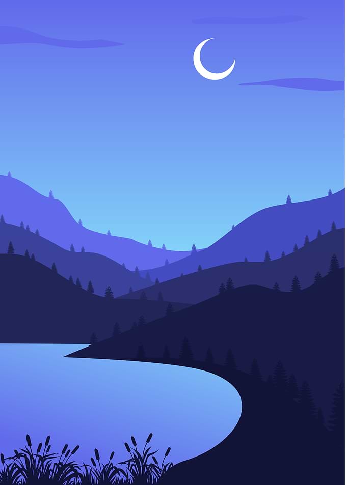 Night Sky Over The Lake
