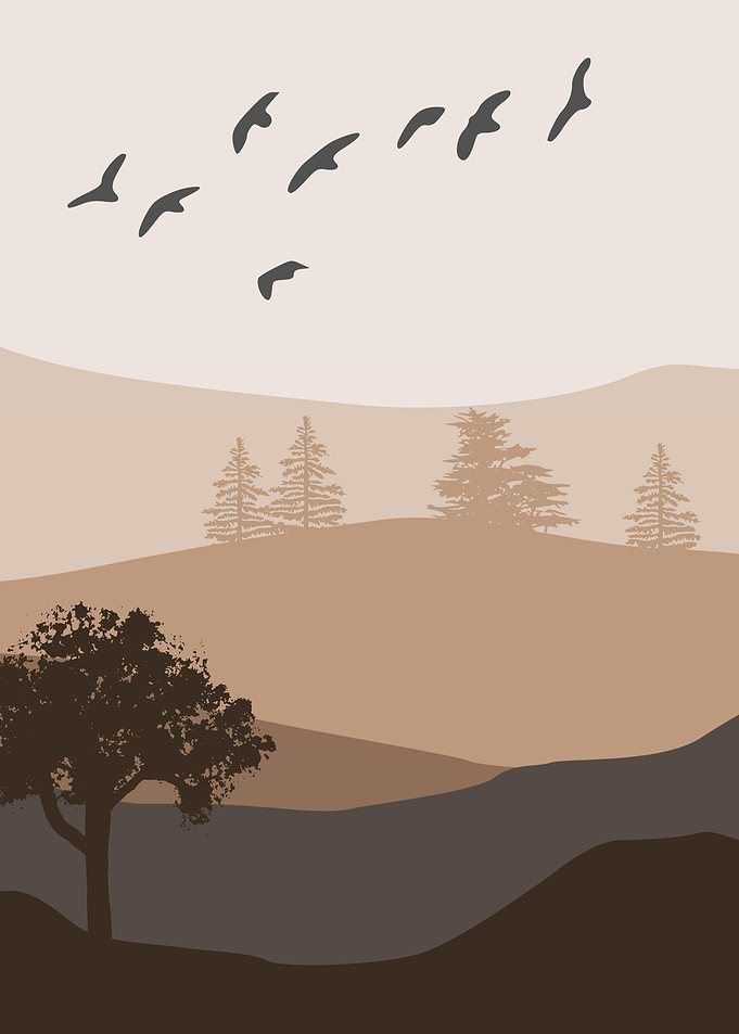 Mountains and forest birds